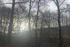 Lesse2023_04