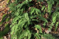 Lesse2023_24