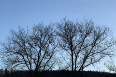 Lesse2023_26