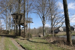 CleA_Rolley2025_031