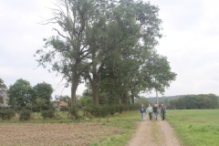 ThyleBau2023_059