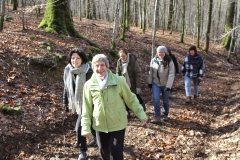 Wellin2023_003