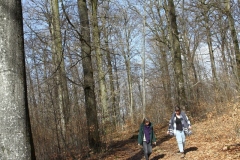 Wellin2023_005